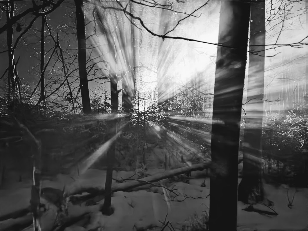 Besuch von Außerirdischen?