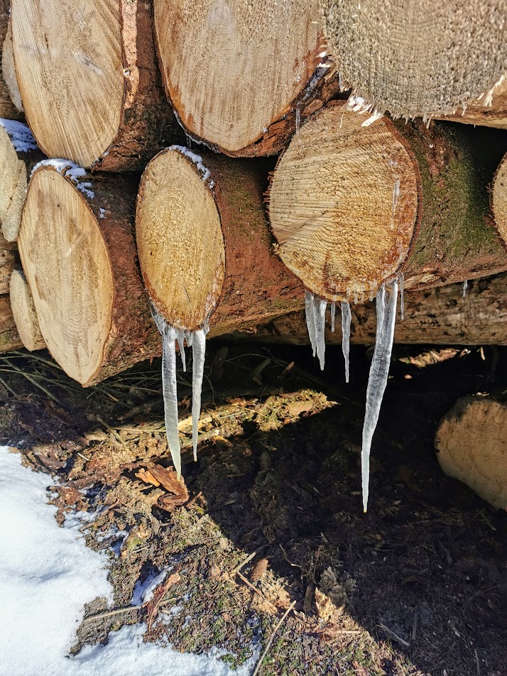 meterweise Holzstapel