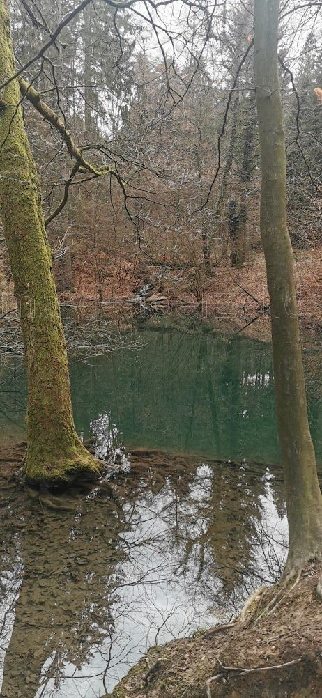 blauer See