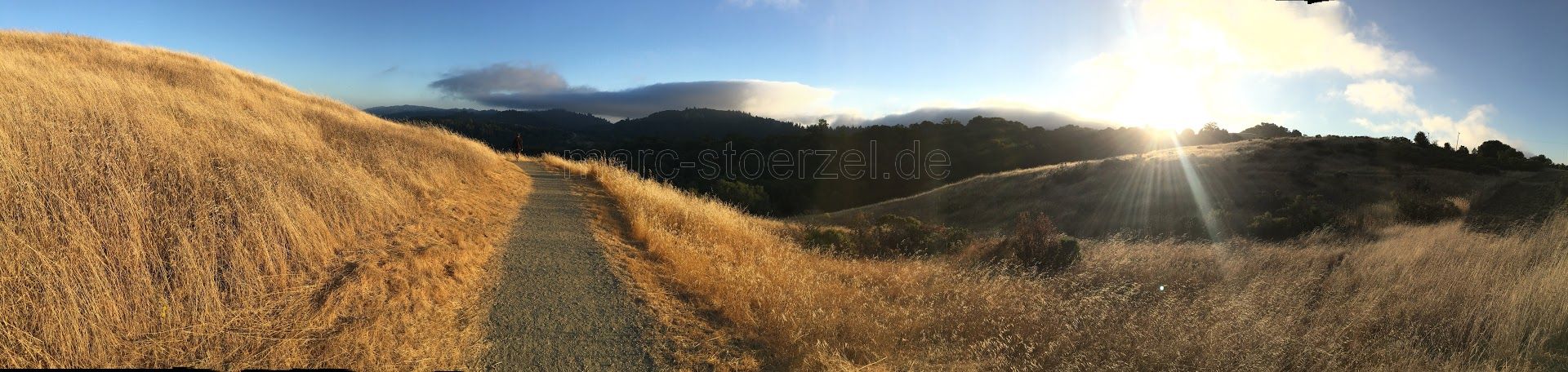 sun’s dawn puts scenery into a golden shine