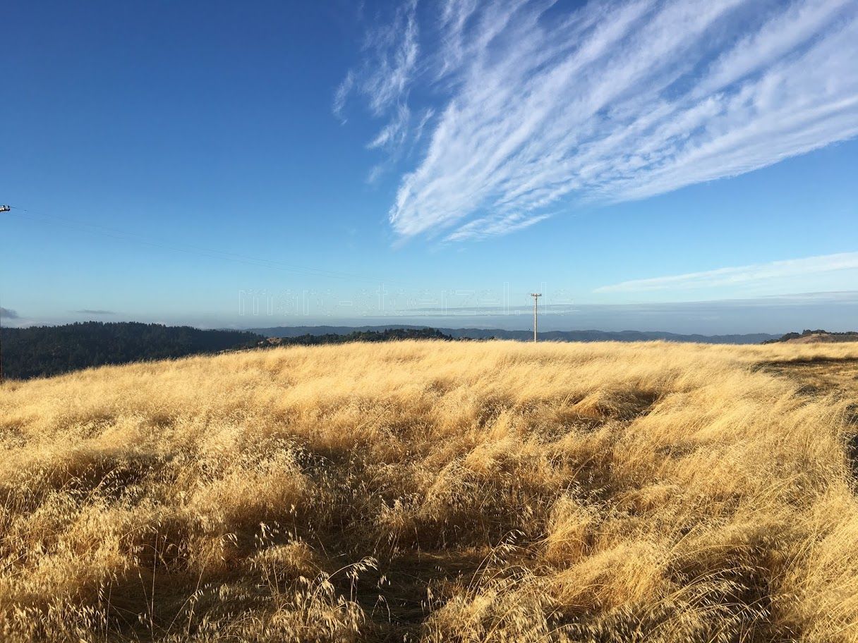 another sunny day in California